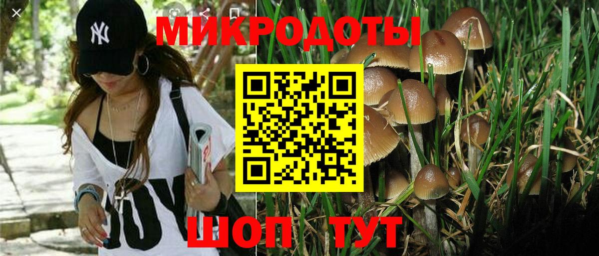 Галлюциногенные грибы мухоморы Назарово